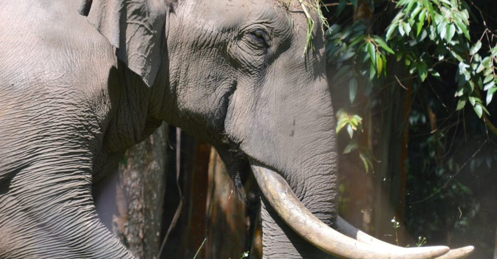 Rekrytointi - Rekrytoinnin optimointi – Avaimet menestyksekkääseen työntekijähakuun