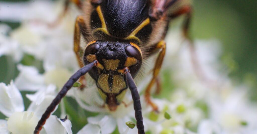 Videotuotanto - Miten Luoda Voittavia Sosiaalisen Median Videoita: Parhaat Alustat ja Työkalut Revealed
