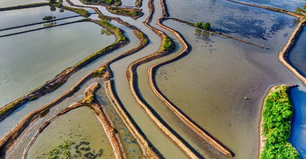 Sijoitus - Targetin osake kohtaa kilpailun kourissa: Miten se pysyy pinnalla?