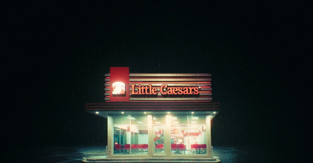 Franchising - Franchisingin ostaminen: Avainasemassa yrityksesi menestykseen