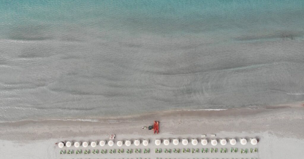 Huijaus - Pandemiapetos Paljasti: Kuinka Yli 7 Miljoonaa Dollaria Katosi ja Mitä Opimme