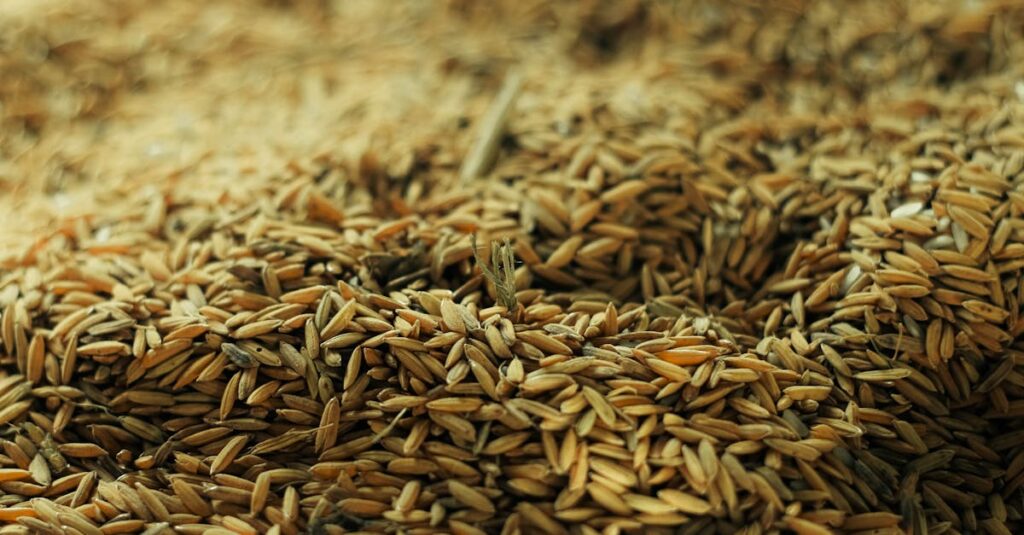 Maatalous - Maataloustuotteiden Hinnat Nousussa – Löydä Parhaat Sijoitusmahdollisuudet Nyt